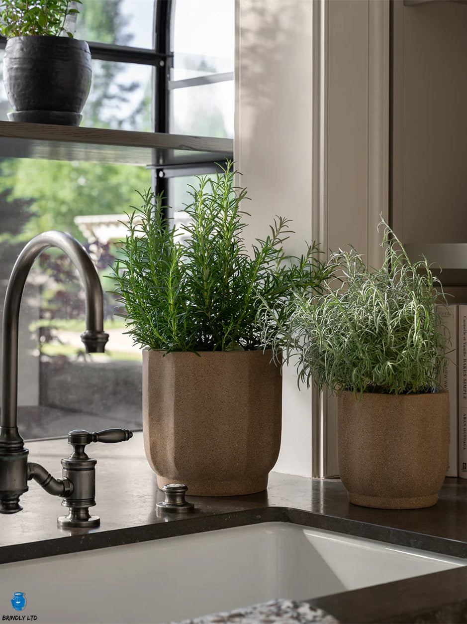 Nasker Flower Pot